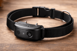 Comment choisir le meilleur collier anti-aboiement