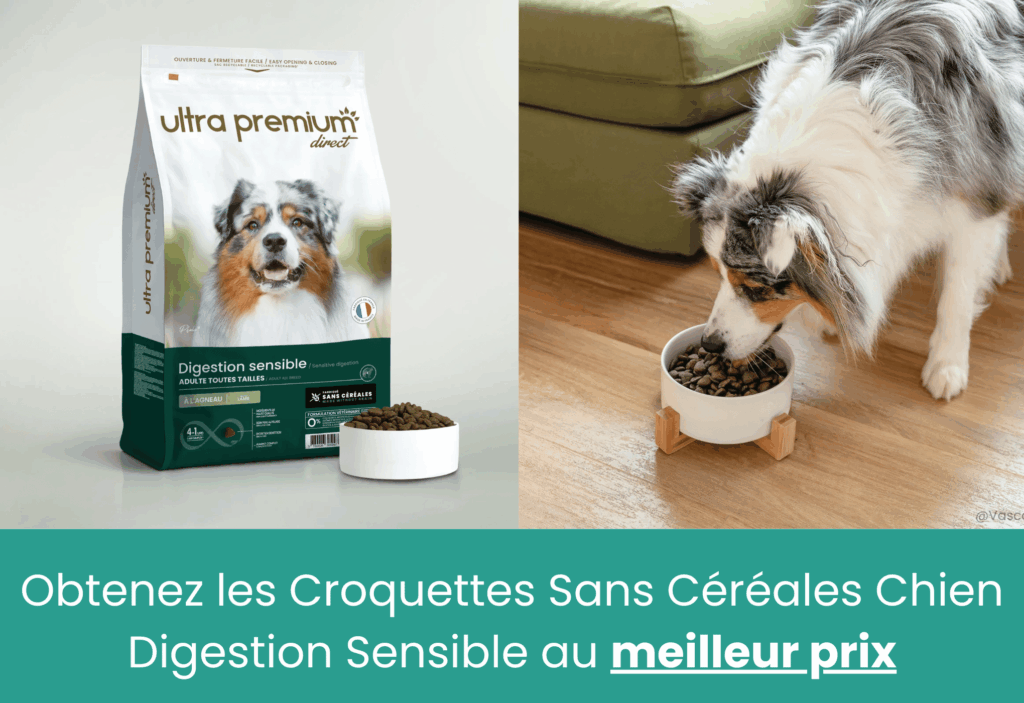 meilleures croquettes sans céréales chien Digestion sensible ultra premium direct
