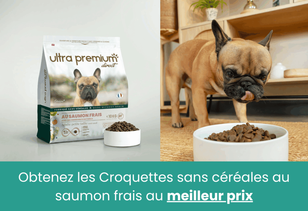 meilleures croquettes bulldog français ultra premium direct