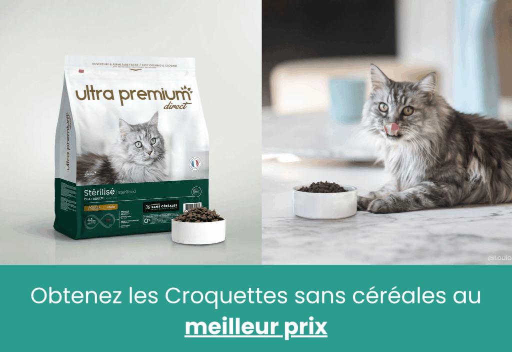 meilleures croquettes digestion sensible pour chat ultra premium direct