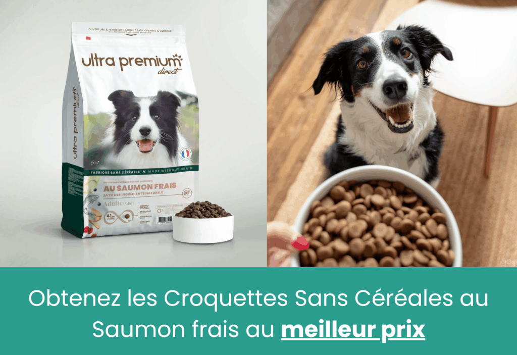 meilleures croquettes françaises pour chien ultra premium direct