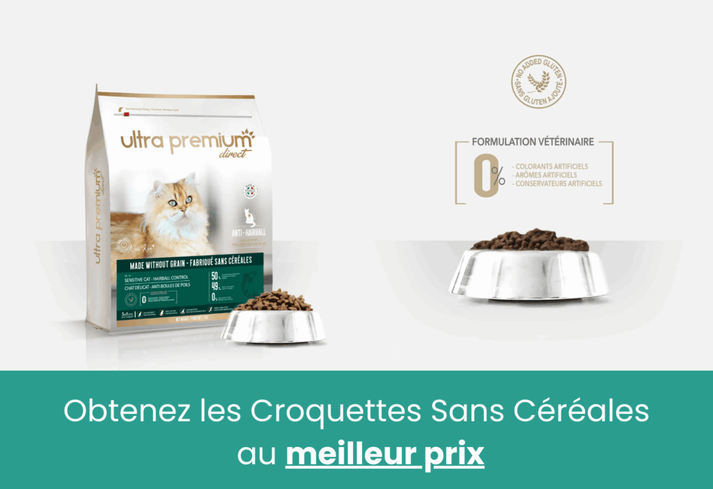 meilleures croquettes insuffisance rénale chat ultra premium direct