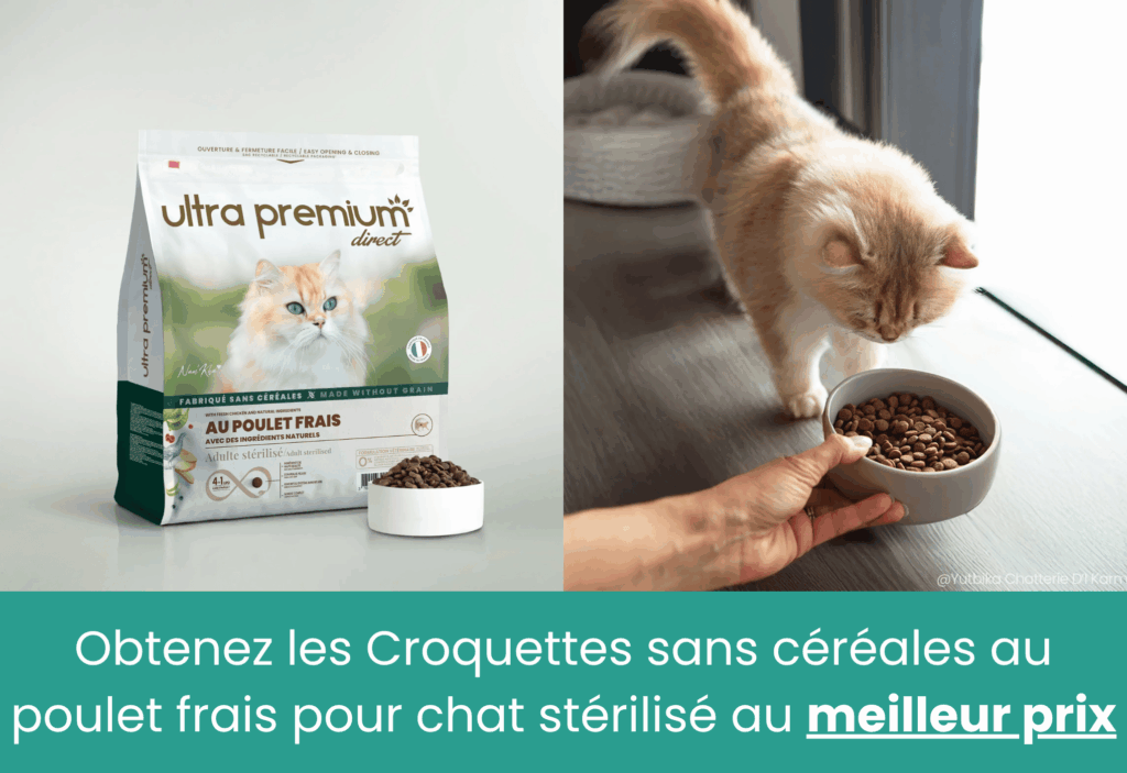 meilleures croquettes pour chat senior ultra premium direct
