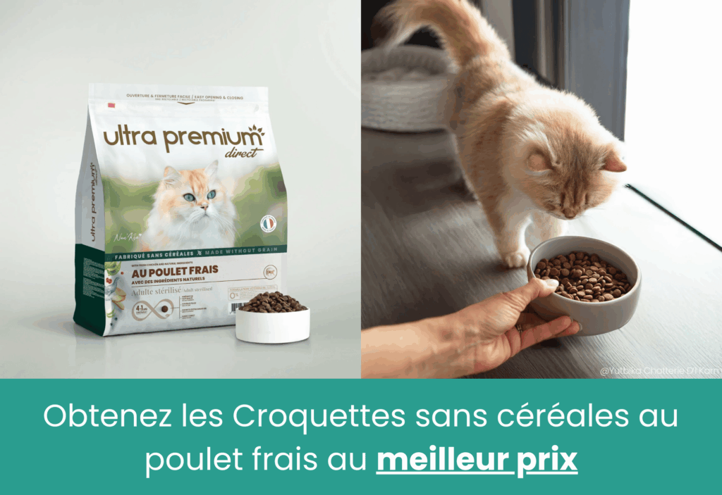 meilleures croquettes pour chat ultra premium direct