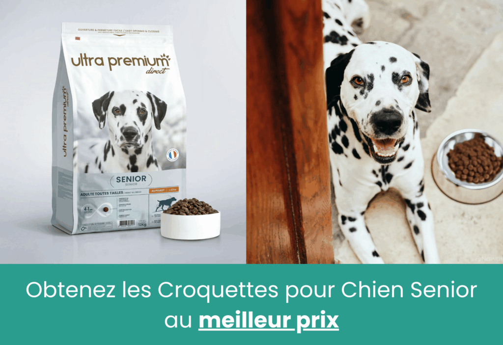 meilleures croquettes pour chien senior avec arthrose ultra premium direct