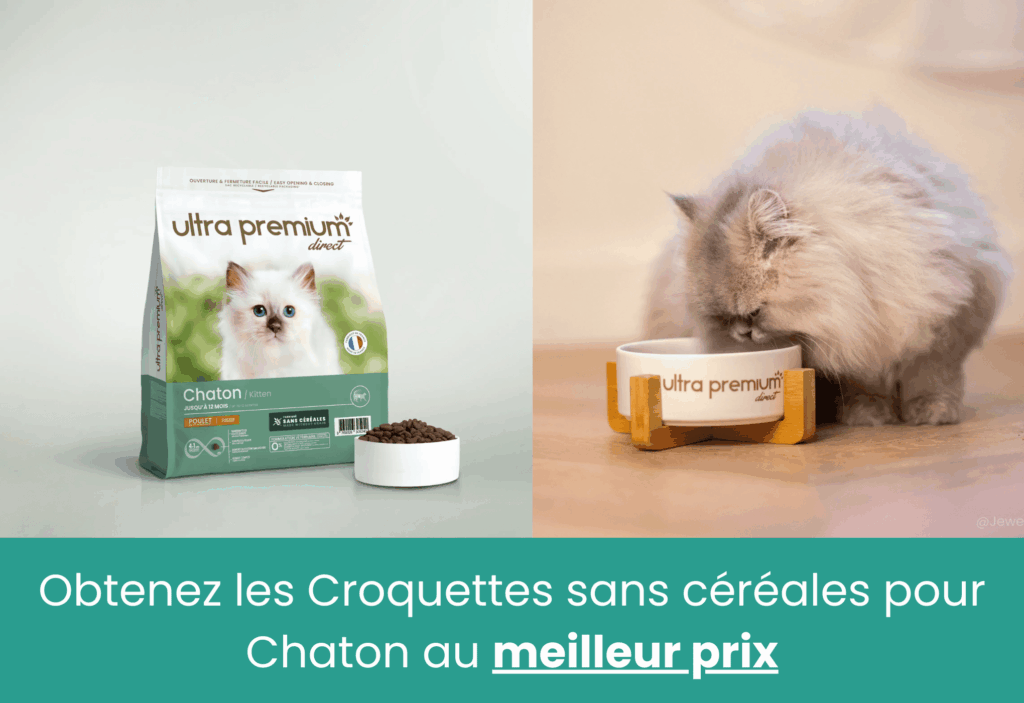 meilleures croquettes sans céréales pour Chaton ultra premium direct