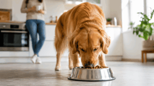 Pourquoi la fréquence des repas est importante
